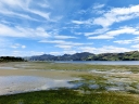 catlins (50)